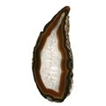 Agate Slice - Banded brown/honey with crystal centre ~ 240mm