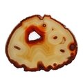 Agate Slice - Opaque with Carnelian colouration ~170mm