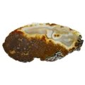 Agate Slice - Brown and Carnelian ~300mm