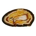 Agate Slice - Carnelian/grey centre with dark banded edge ~210mm