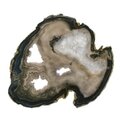 Agate Slice - Blue/Grey edge with crystal centre ~240mm