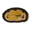 Agate Slice - Carnelian centre with banded edge ~185mm
