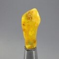 Amber Tumblestone ~27mm