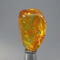 Amber Tumblestone ~33mm