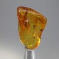 Amber Tumblestone ~34mm