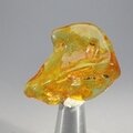 Amber Tumblestone ~36mm