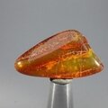 Amber Tumblestone ~36mm