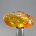 Amber Tumblestone ~40mm
