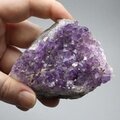 Amethyst Cluster ~80 x 65mm