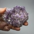 Amethyst Cluster ~87 x 76mm