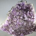 Amethyst Cluster ~98 x 80mm