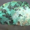 Atacamite Mineral Specimen ~85mm