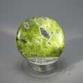 Atlantisite Flat Tumblestone ~39mm
