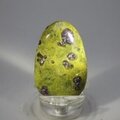Atlantisite Flat Tumblestone ~45mm