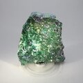 Azurite & Malachite Polished Slice ~56mm