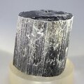 Black Tourmaline Crystal (Special Grade) ~30mm