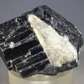Black Tourmaline Mineral Specimen ~43mm