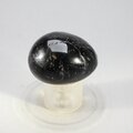 Black Tourmaline Tumblestone(Extra Grade) ~31mm