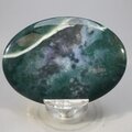 Bloodstone Palmstone (Extra Grade) ~70x50mm