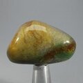Bloodstone Tumblestone (Extra Grade) ~39mm