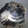 Blue Amber Healing Crystal (Extra Grade) ~70mm