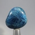 Blue Apatite Tumblestone  ~32mm
