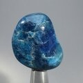 Blue Apatite Tumblestone  ~34mm