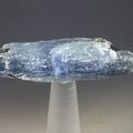 Blue Kyanite & Biotite Mica Healing Crystal ~46mm