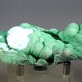 Botryoidal Malachite & Chrysocolla Healing Mineral ~83mm