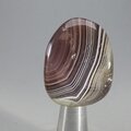 Botswana Agate Tumblestone ~27mm