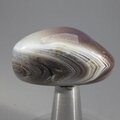 Botswana Agate Tumblestone ~37mm