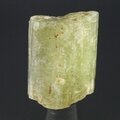 Brown Apatite Healing Crystal ~22mm