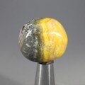 Bumble Bee Jasper Tumblestone ~27mm