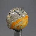 Bumble Bee Jasper Tumblestone ~30mm