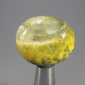Bumble Bee Jasper Tumblestone ~30mm