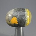 Bumble Bee Jasper Tumblestone ~31mm