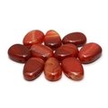 Carnelian Drilled Tumble Stone