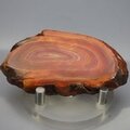 Carnelian Polished Slab ~66x33mm