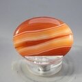 Carnelian Thumbstone(Extra Grade) ~40x30mm