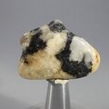 Cassiterite in Quartz Tumblestone ~38mm