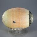 Celestobarite Palmstone (Extra Grade) ~70x50mm