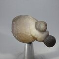 Chalcedony Womb Stone ~58mm