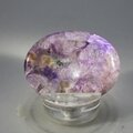 Charoite Thumbstone (Extra Grade) ~40x30mm