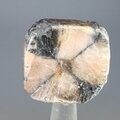 Chiastolite Polished Slice ~32mm