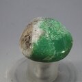 Chrysoprase Tumblestone ~30mm
