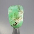Chrysoprase Tumblestone ~31mm