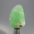 Chrysoprase Tumblestone ~40mm