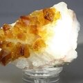 Citrine Cluster ~58mm