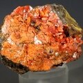 Crocoite Healing Mineral~40mm