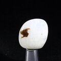 Cryolite Tumblestone ~25mm